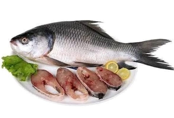 Katla (कटला) from Bombay Sea Food
