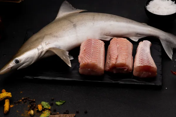 Shark (Mushi) (मुशी) from Ocean Lovers Fish