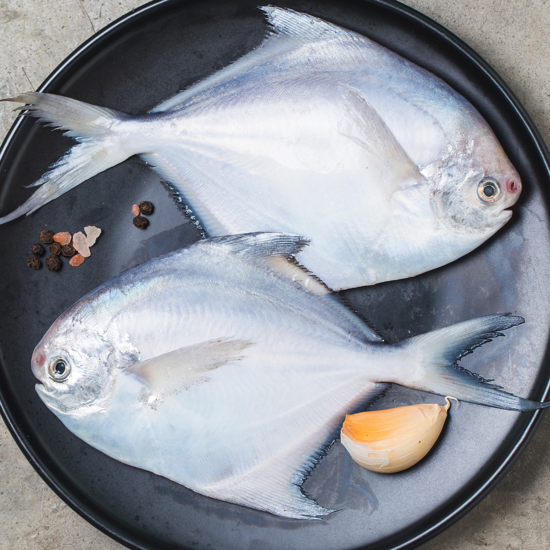 Pomfret (पापलेट) from The Nomadic Catch