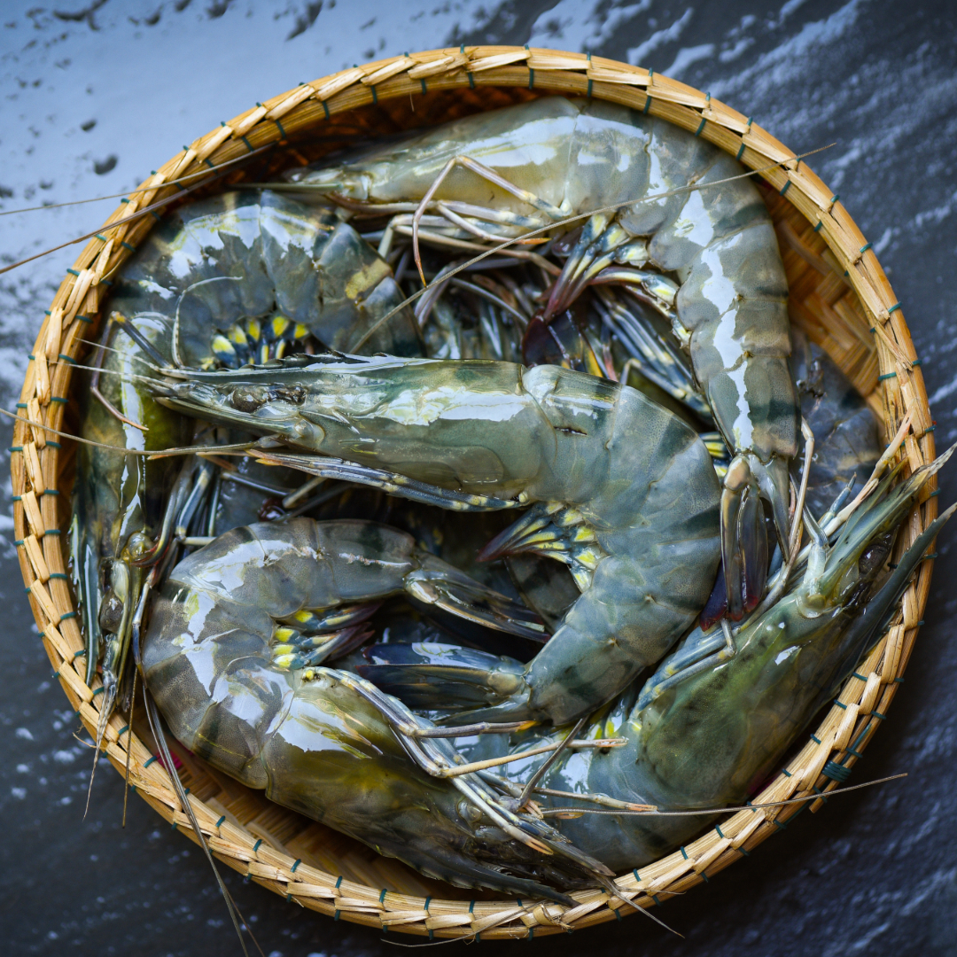 Prawns (कोळंबी) from The Nomadic Catch
