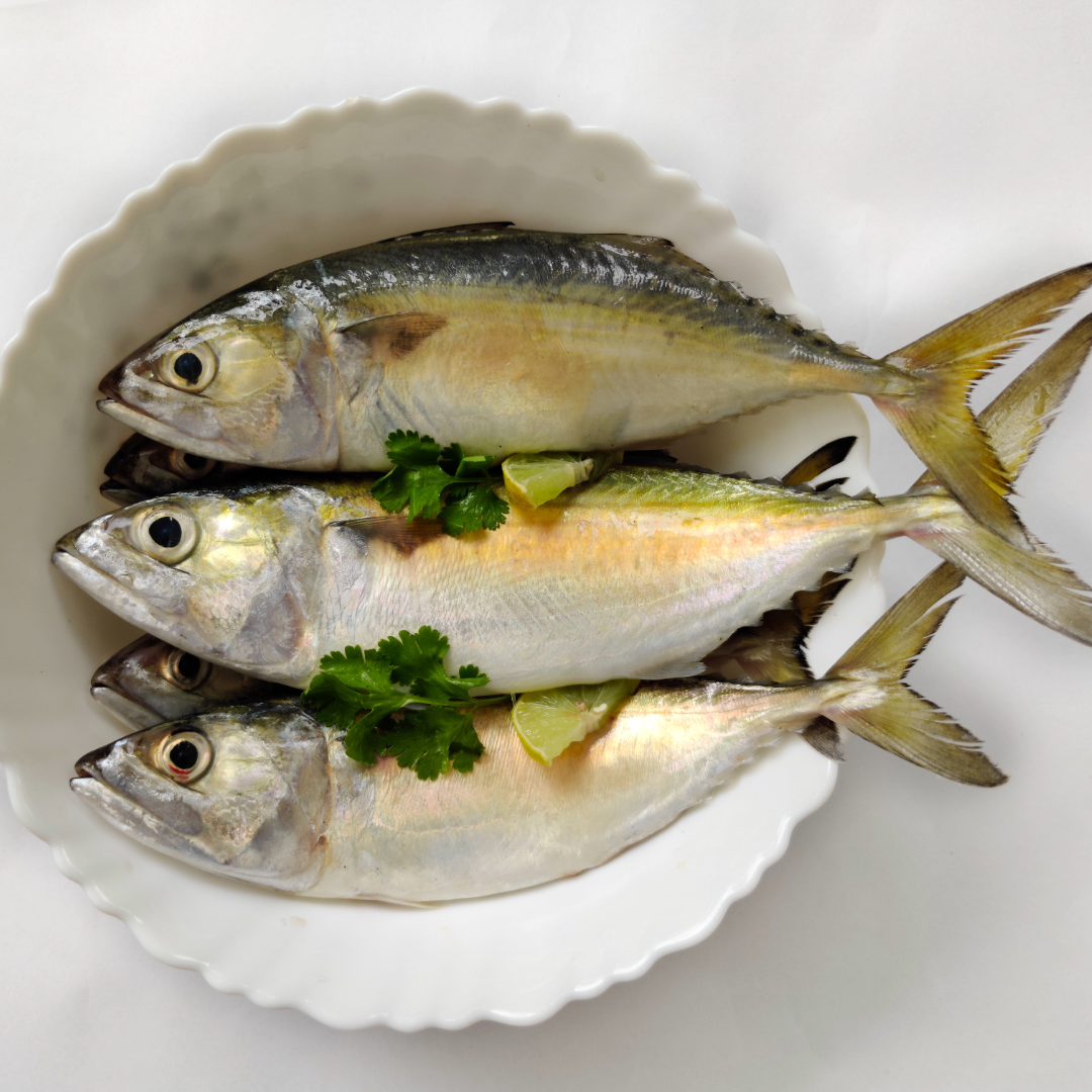 Bangda (Mackerel) (बांगडा) from The Nomadic Catch