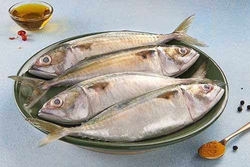 Bangda (Mackerel) (बांगडा) from Ocean Lover Fish