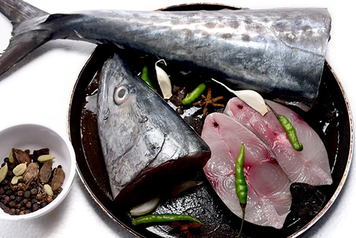 Surmai (Kingfish) (सुरमई) from Ocean Lover Fish
