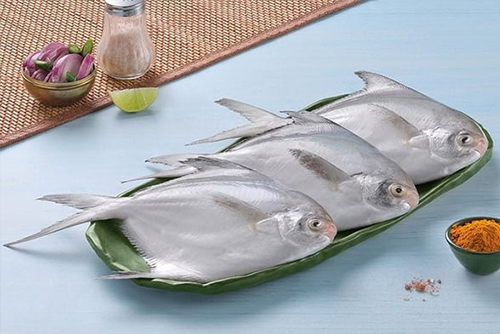 Pomfret (पापलेट) from Ocean Lover Fish