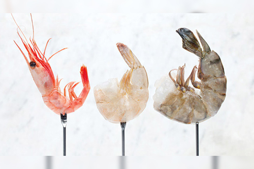Prawns (कोळंबी) from Ocean Lover Fish