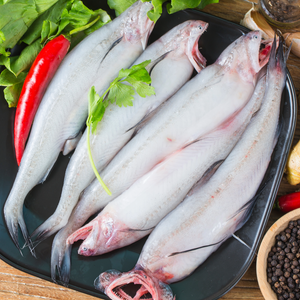 Bombil (Bombay Duck) (बोंबील) from The Nomadic Catch