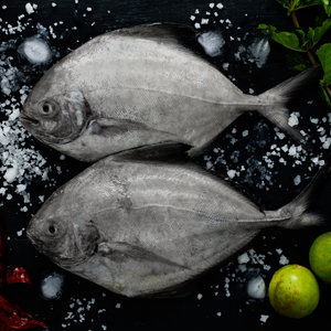 Halwa (Black Pomfret) (हलवा) from The Nomadic Catch